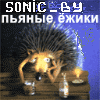   sonic_by